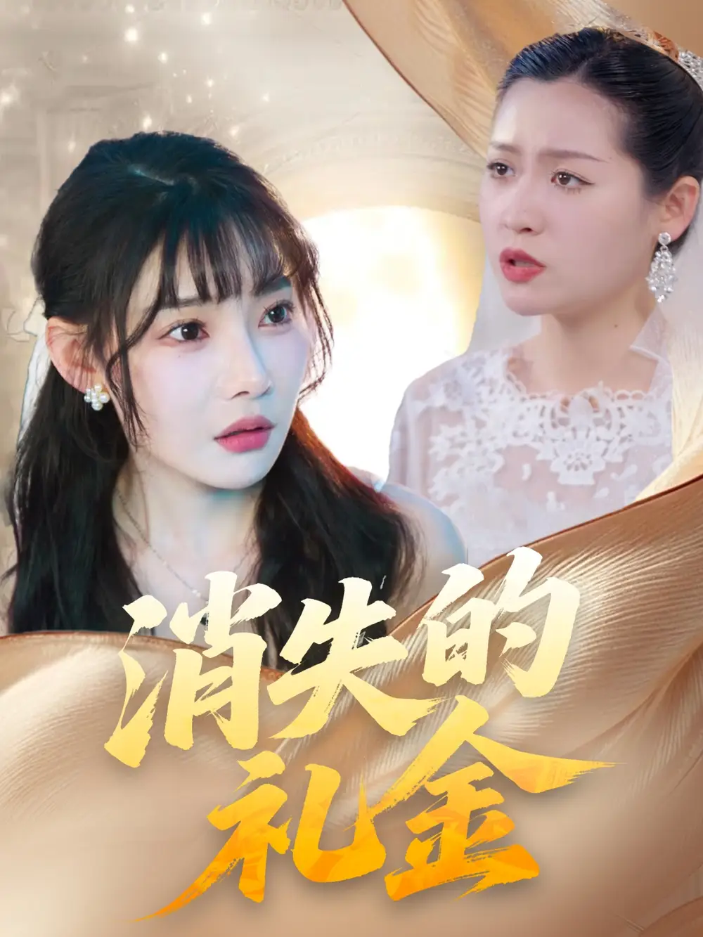 《消失的礼金(30集》全集免费观看