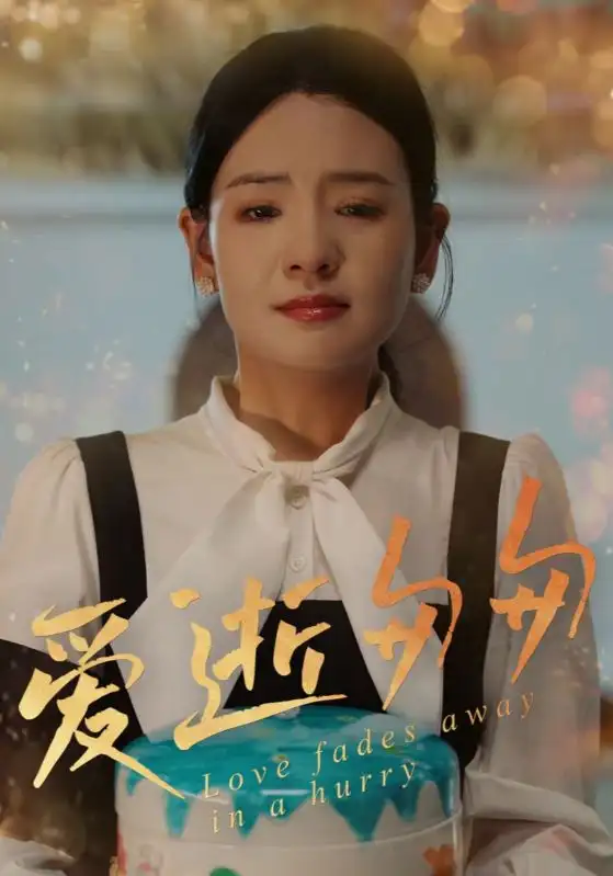 《爱逝匆匆(30集)》全集免费观看