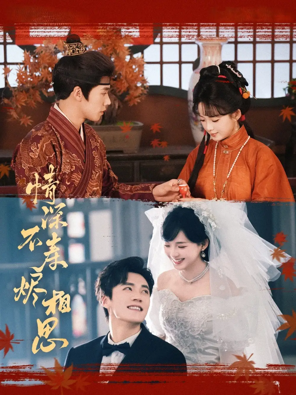 《情深不寿烬相思(60集)》全集免费观看