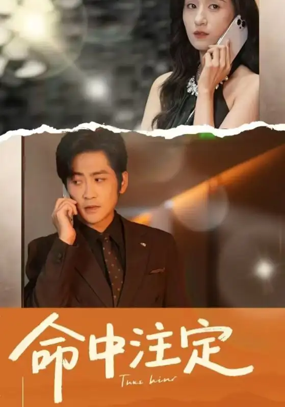 《命中注定(33集)》全集免费观看