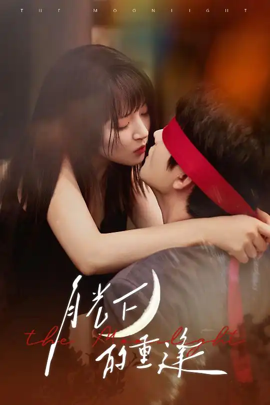 《月光下的重逢(54集)》全集免费观看