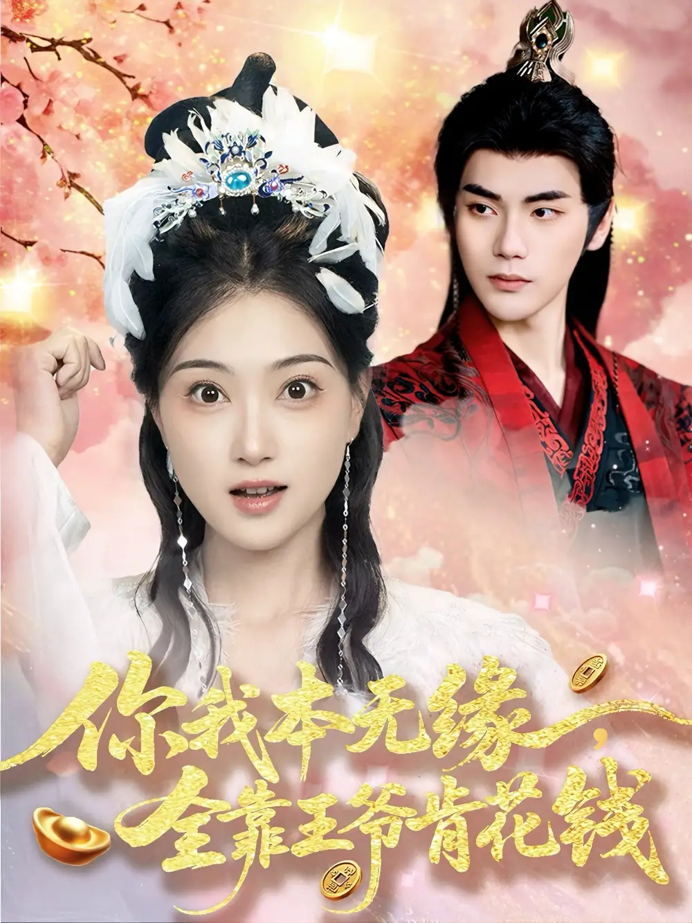 《你我本无缘全靠王爷肯花钱(66集)陈奕汐》全集免费观看