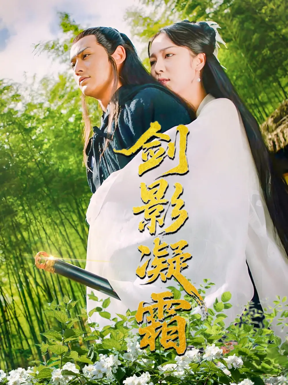 《剑影凝霜(52集)朱茉颜》全集免费观看