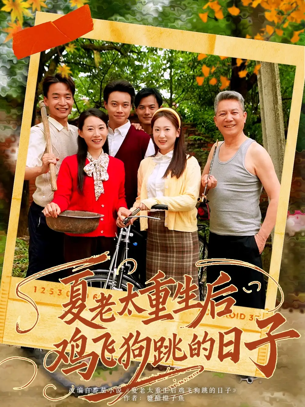 《夏老太重生后雞飛狗跳的日子(70集)》全集免費(fèi)觀看