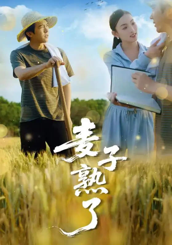 《麦子熟了(52集》全集免费观看