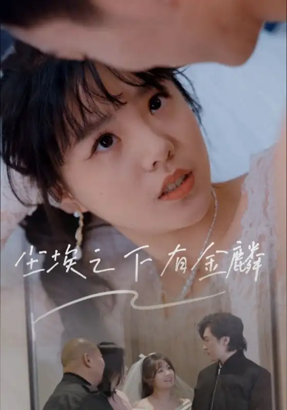 《尘埃之下有金鳞(60集)》全集免费观看