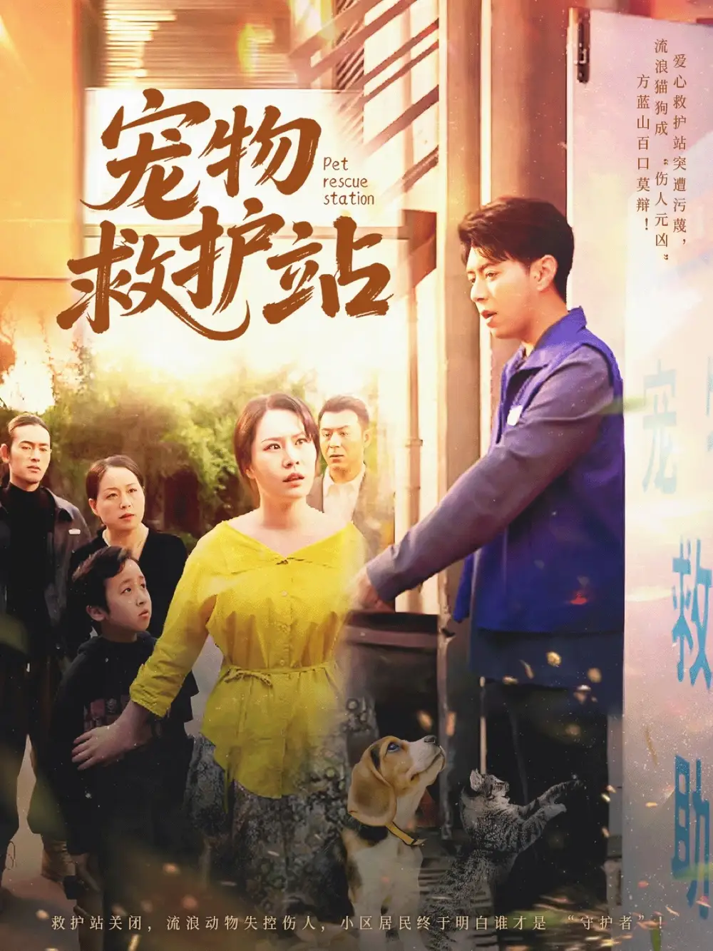 《宠物救护站(30集)魏晓慧&尹竹》全集免费观看