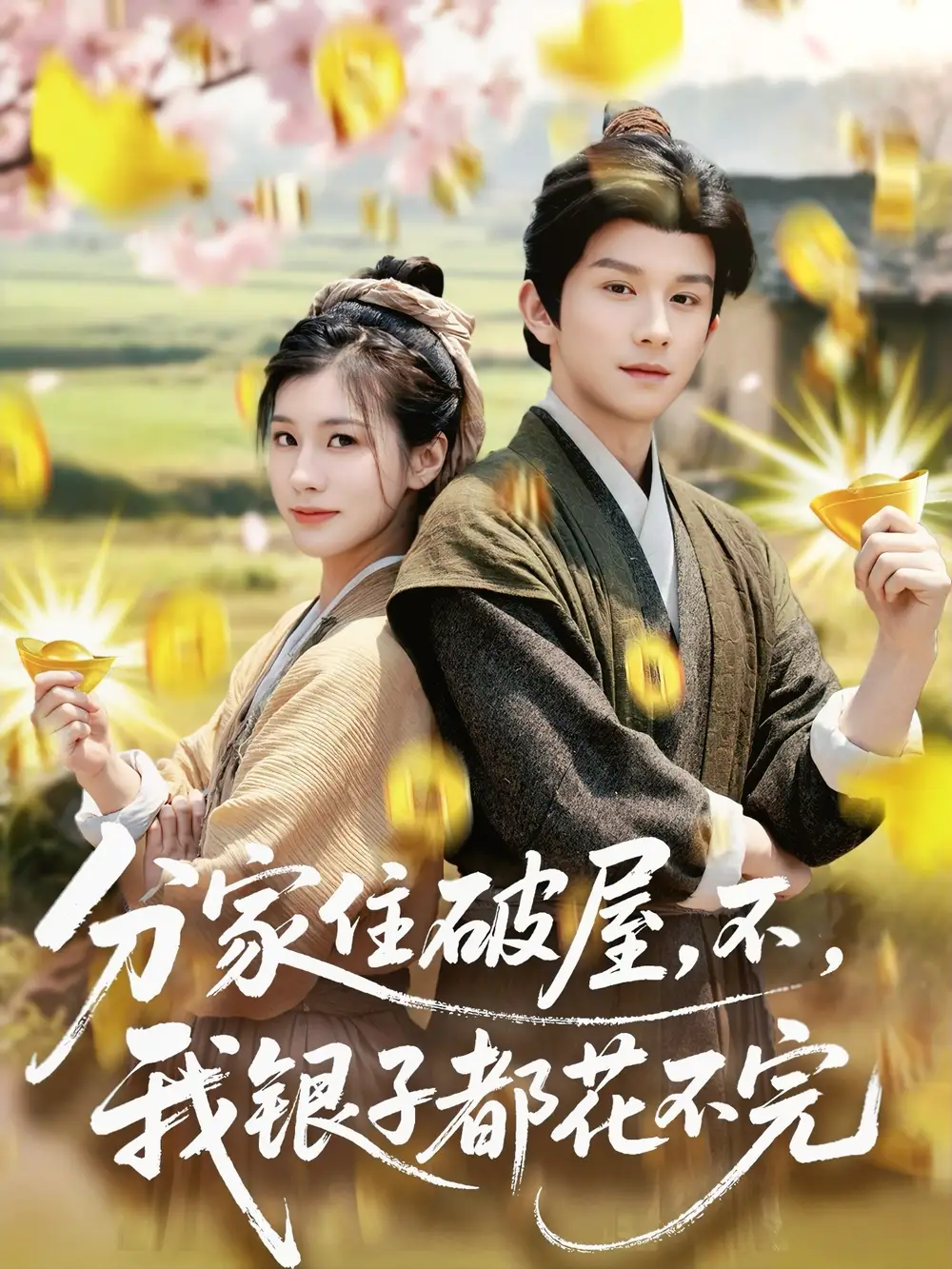 《分家住破屋不我银子都花不完(80集)》全集免费观看