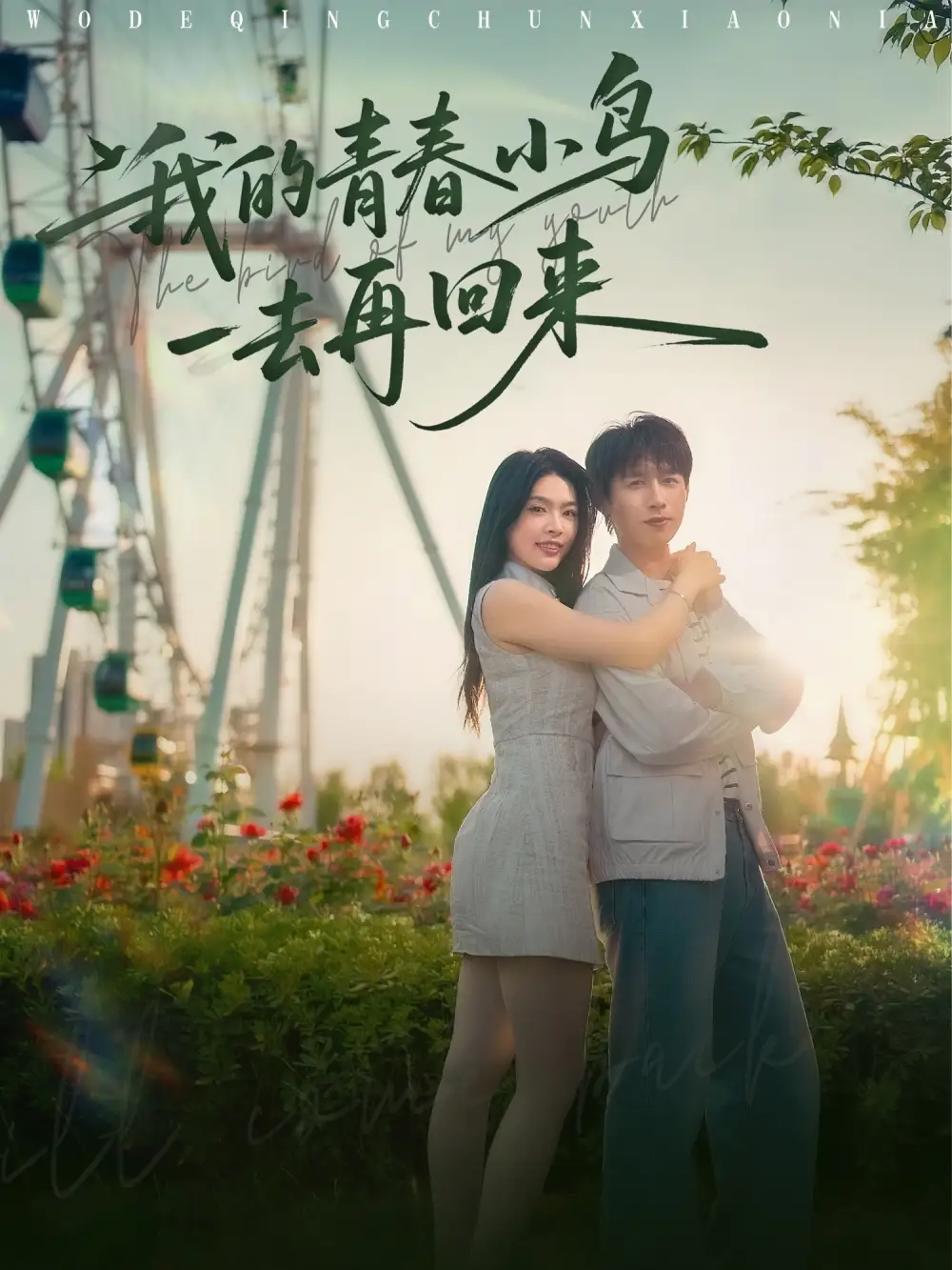 《我的青春小鸟一去再回来(95集)严浩&刘彦君&瑞子&王希如》全集免费观看