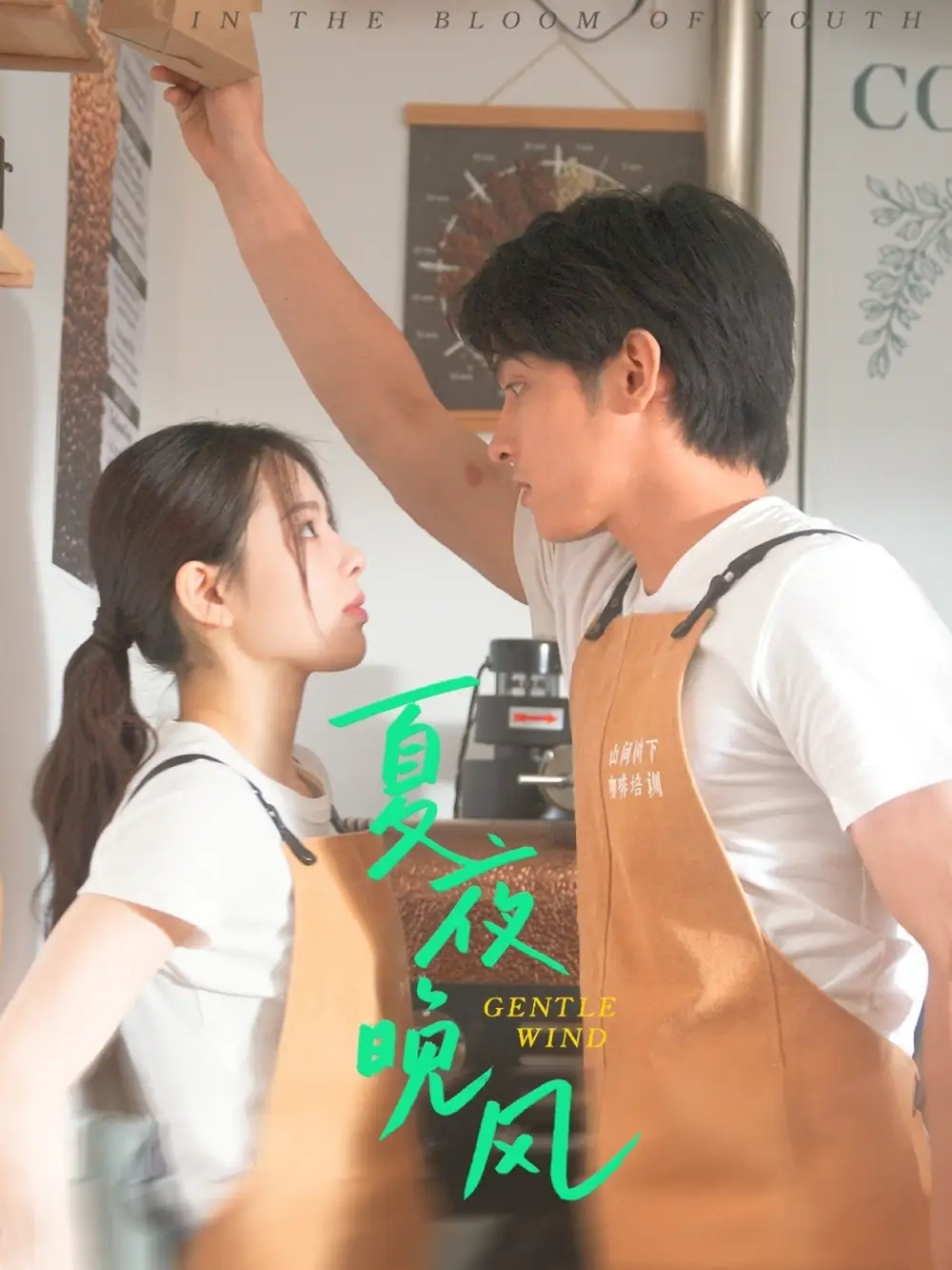 《夏夜晚風(12集)》全集免費觀看