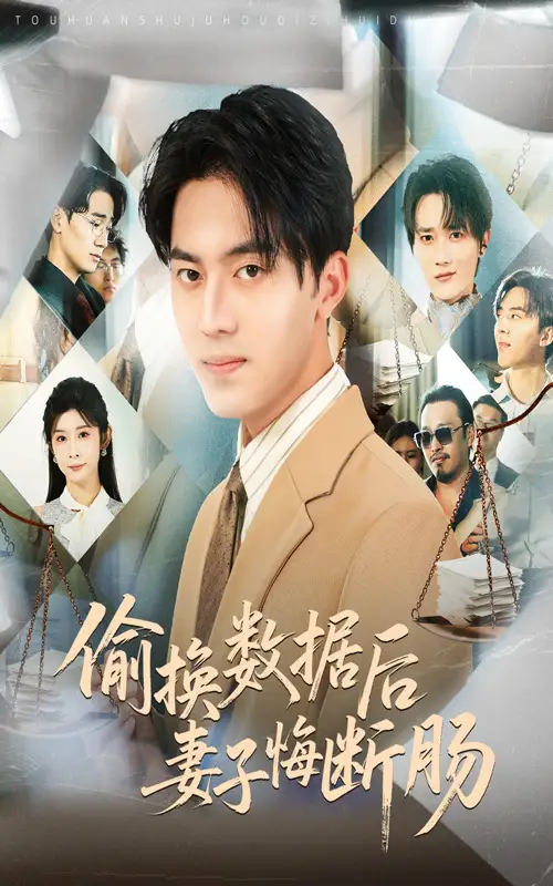 《偷換數(shù)據(jù)后妻子悔斷腸(63集)》全集免費(fèi)觀看