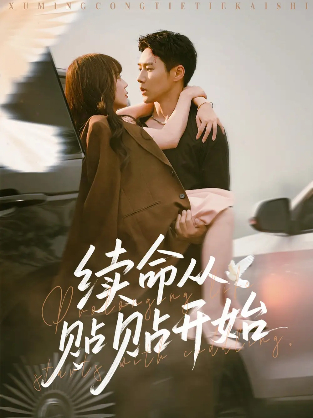 《續(xù)命從貼貼開始(66集)》全集免費觀看