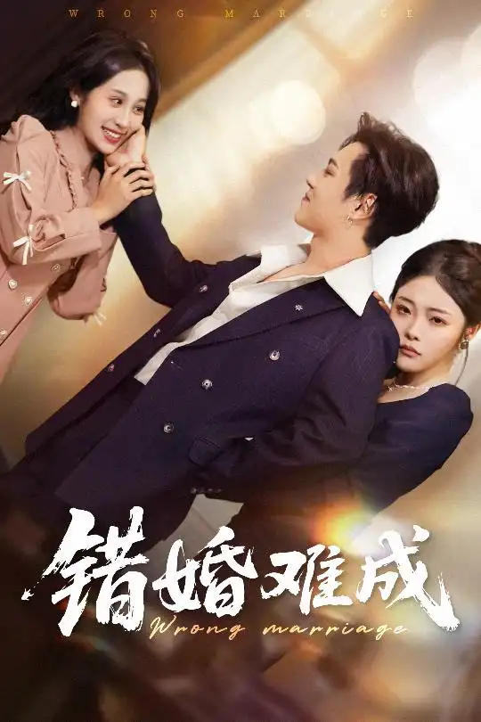《錯(cuò)婚難成(45集)》全集免費(fèi)觀看
