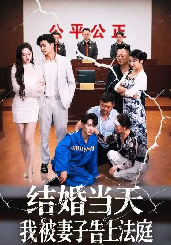 《結(jié)婚當(dāng)天我被妻子告上法庭(30集)王惠》全集免費(fèi)觀看