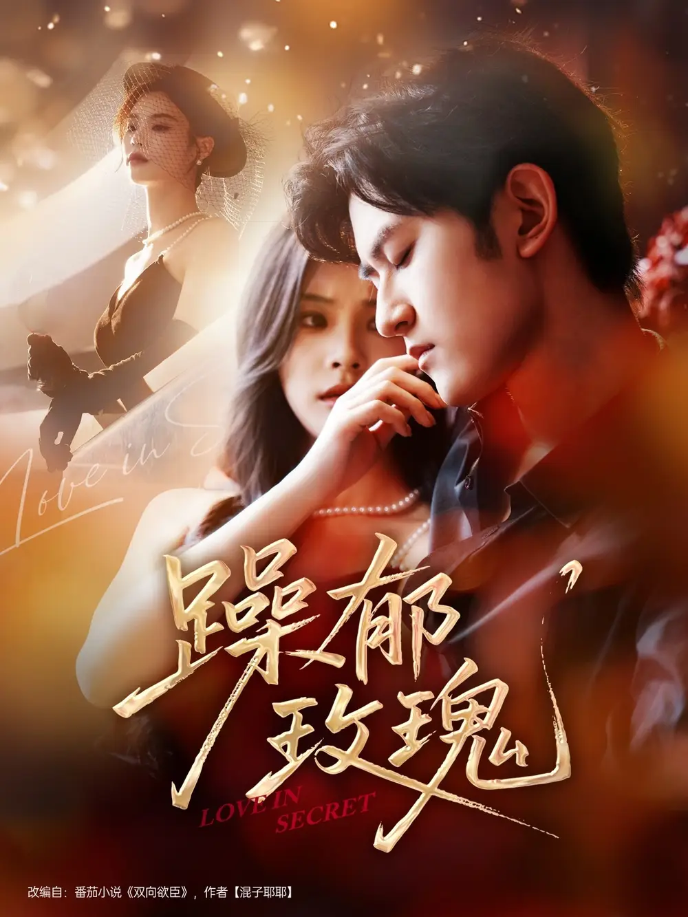 《躁郁玫瑰 (71集)》全集免費觀看