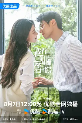 我在頂峰等你 [2025]