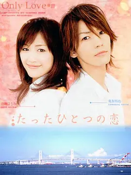 唯一的愛 [2006][7.8分]