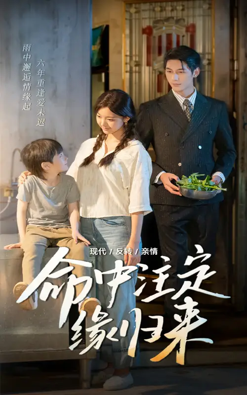 《命中注定緣歸來(63集)》全集免費(fèi)觀看