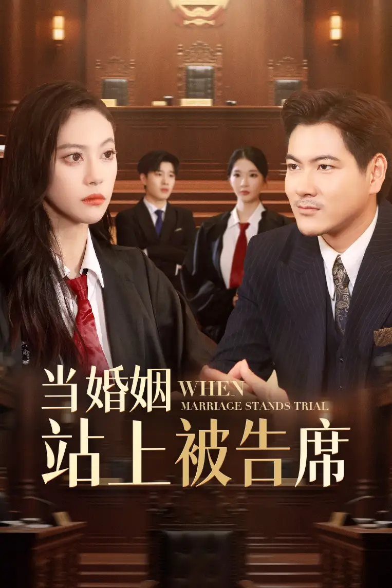 《當(dāng)婚姻站上被告席(30集)劉林&劉涵飛》全集免費(fèi)觀看