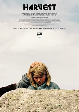 收成 [2024][6.8分]