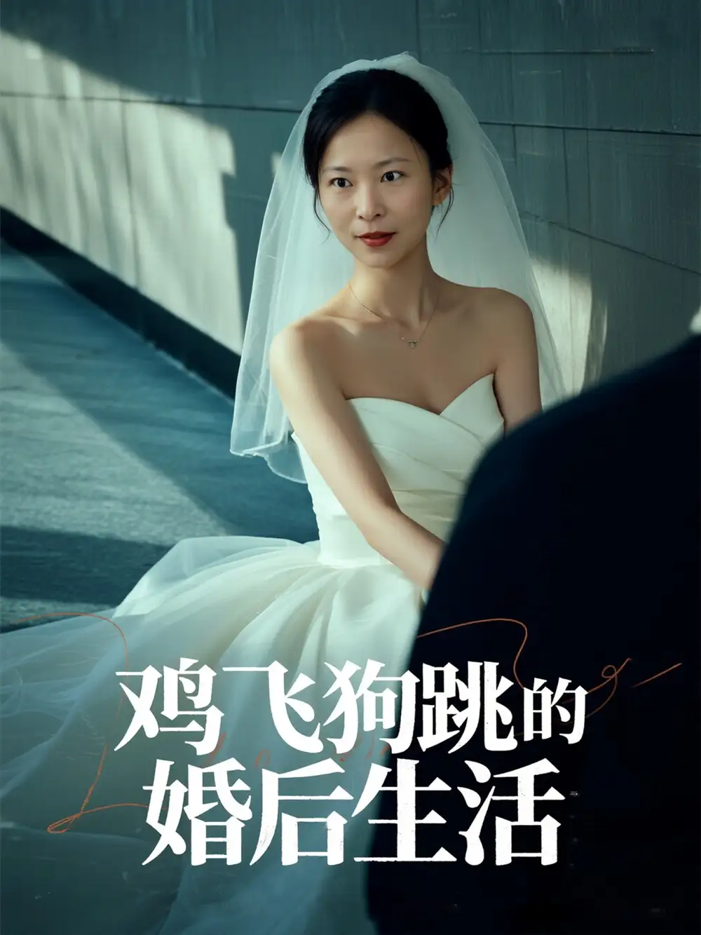 《雞飛狗跳的婚后生活(28集)》全集免費觀看