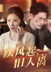 《疾風起舊人離（32集）》全集免費觀看