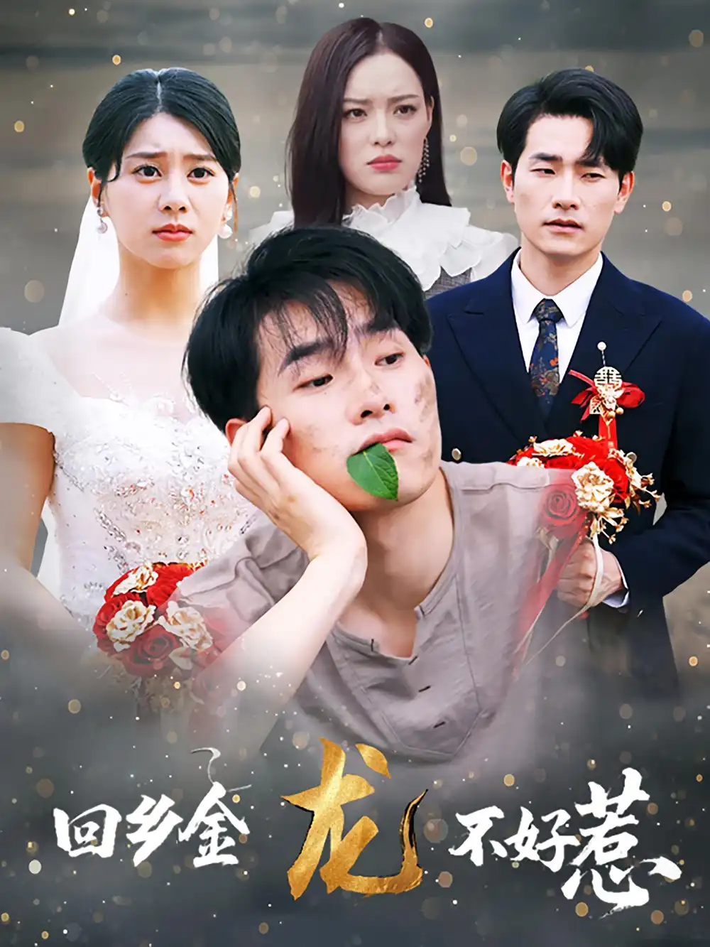 《回鄉(xiāng)金龍不好惹(74集)》全集免費觀看