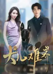 《犬兒難養(yǎng)(38集)》全集免費(fèi)觀看