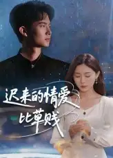 《遲來的情愛比草賤(46集)》全集免費觀看