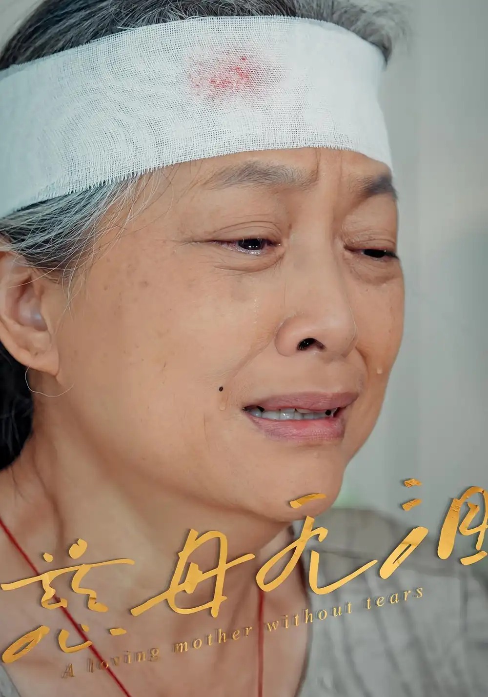 《慈母無淚(30集)》全集免費(fèi)觀看