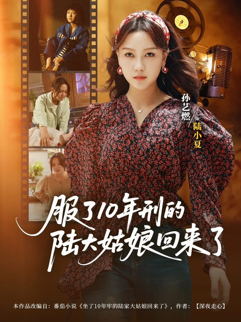 《服了10年刑的陸大姑娘回來了(77集)》全集免費觀看