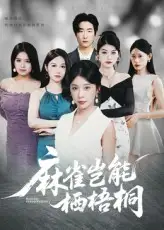 《麻雀豈能棲梧桐(31集)》全集免費(fèi)觀看