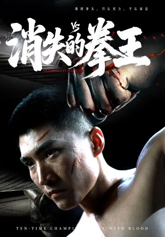 《消失的拳王(72集)》全集免費(fèi)觀看
