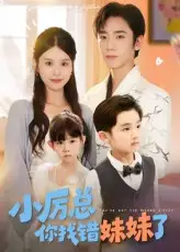 《小厲總你找錯(cuò)妹妹了(52集)》全集免費(fèi)觀看