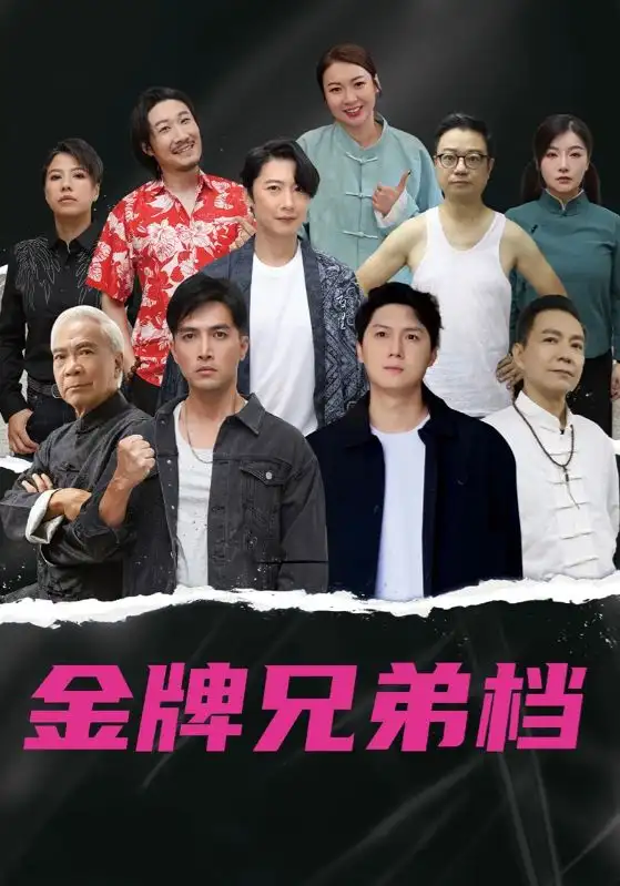《龍虎兄弟(60集)》全集免費(fèi)觀看