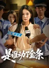 《是誰動了金條(56集)》全集免費觀看