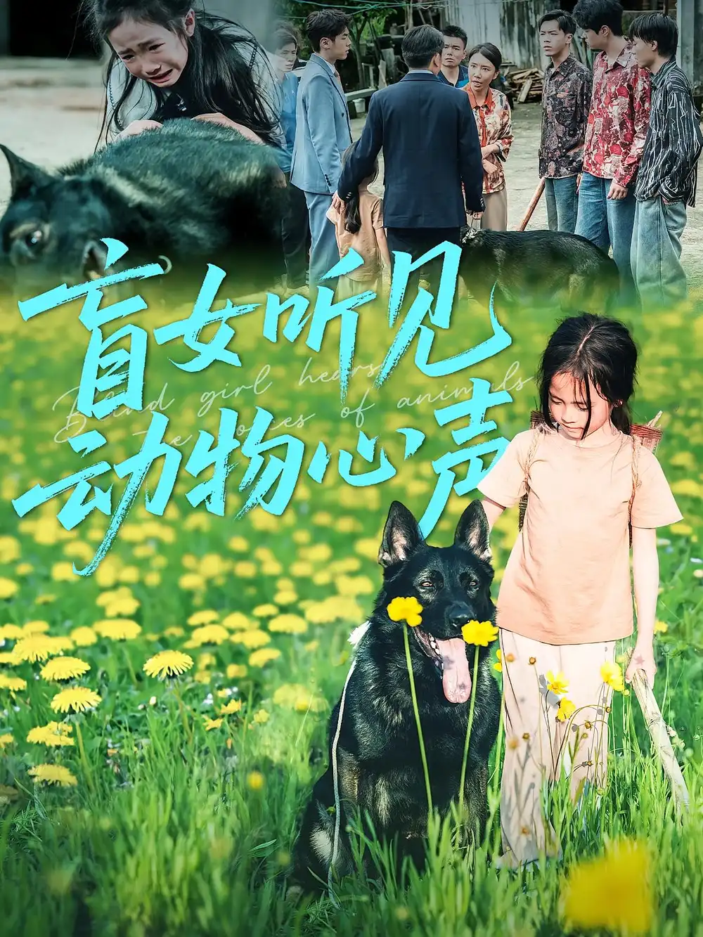 《盲女聽見動物心聲(61集)》全集免費觀看