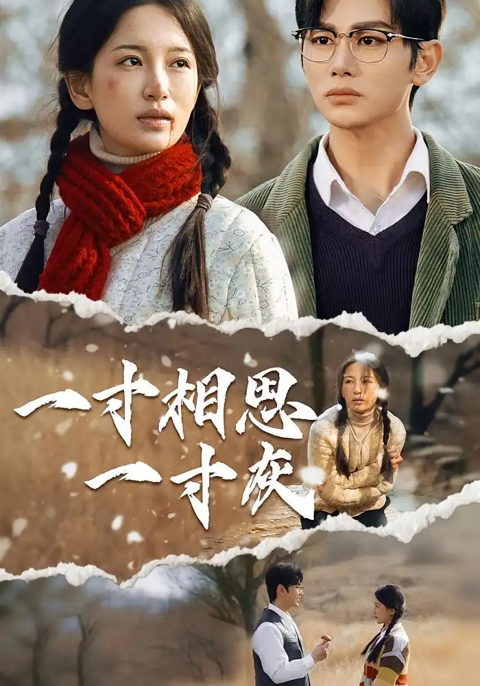 《一寸相思一寸灰(43集)》全集免費觀看