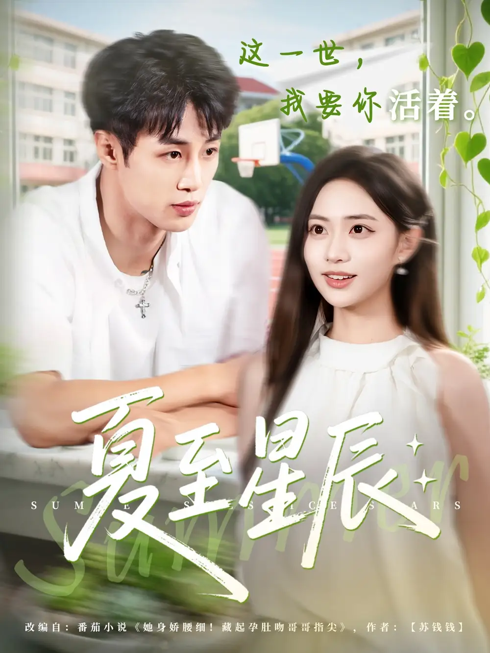 《夏至星辰(54集)》全集免費(fèi)觀看