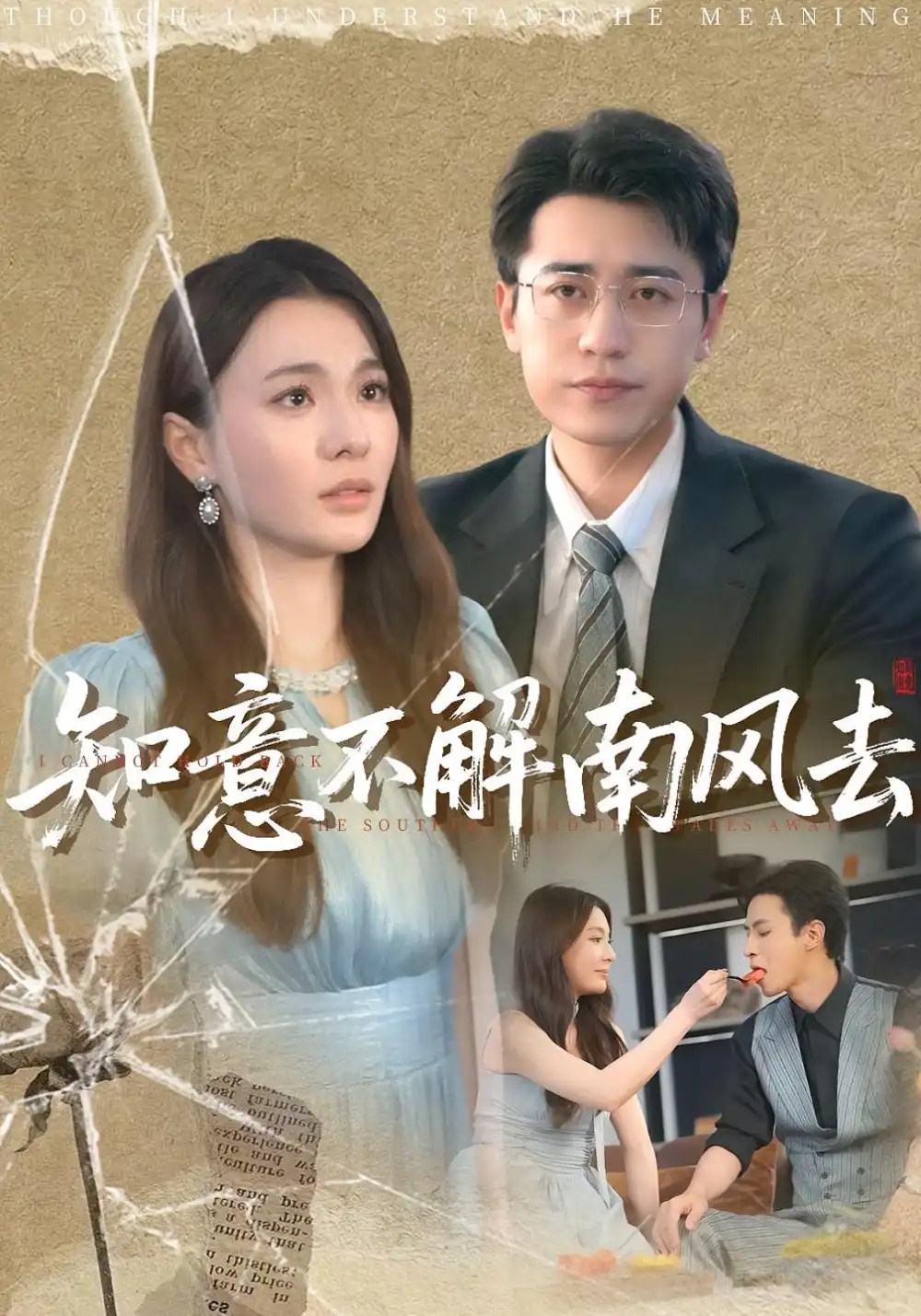 《知意不解南風(fēng)去(90集)》全集免費(fèi)觀看