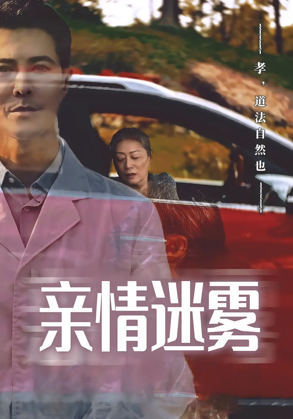 《親情迷霧(30集)》全集免費(fèi)觀看