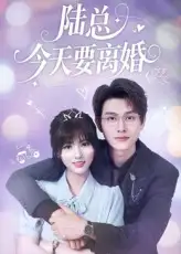 《陸總今天要離婚(81集)陳凱洲&李泫逸》全集免費(fèi)觀看