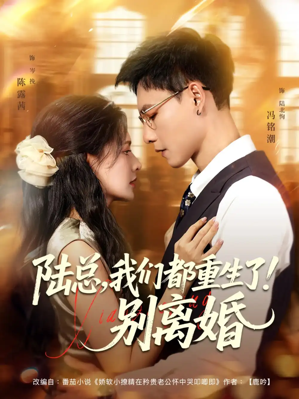 《陸總我們都重生了！別離婚&陸總我們都重生了別離婚（79集）馮銘潮&陳露茜》全集免費觀看