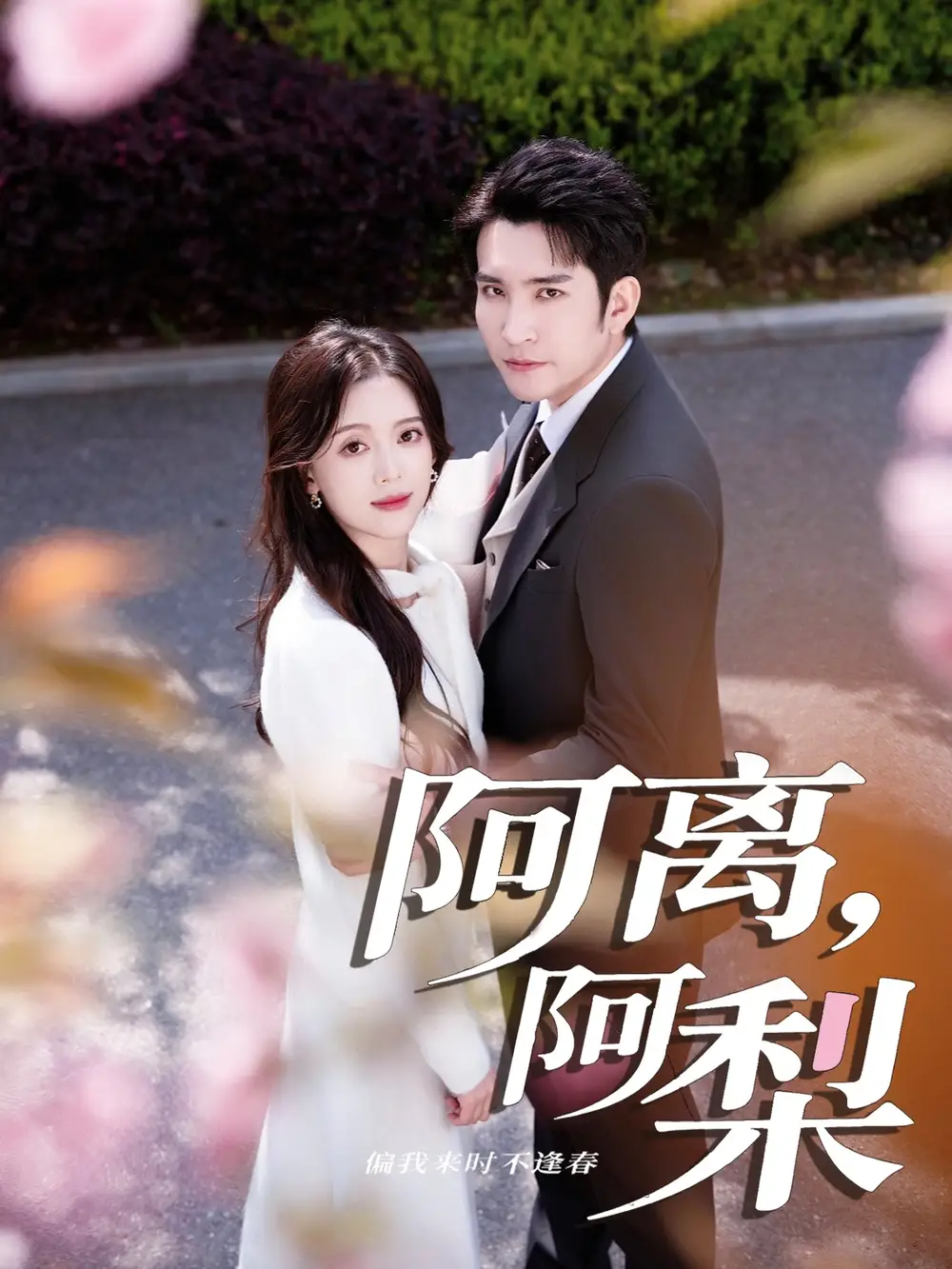 《阿離阿梨(60集)》全集免費觀看