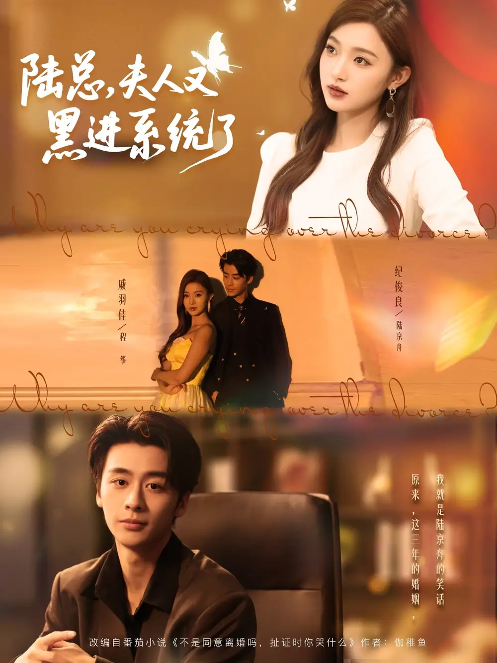 《陆总夫人又黑进系统了（81集）》全集免费观看