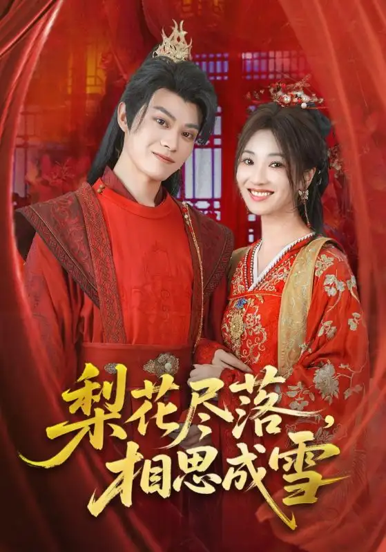 《梨花盡落相思成雪(81集)》全集免費(fèi)觀看