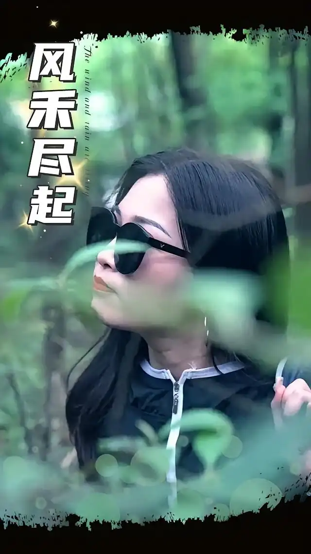 《風(fēng)禾盡起(31集)》全集免費(fèi)觀看