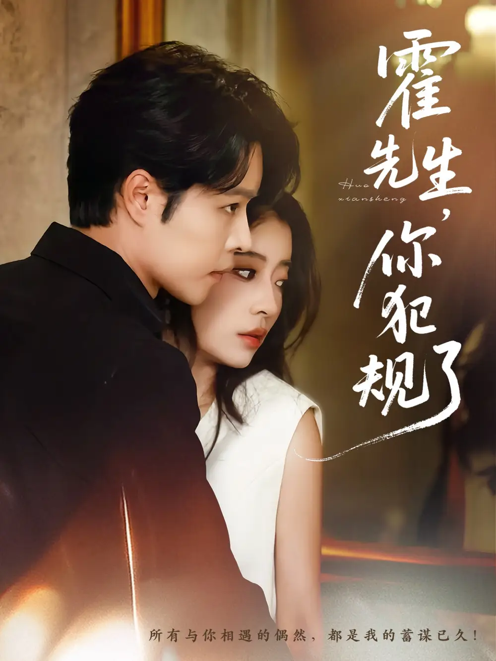 霍先生你犯規(guī)了（80集）