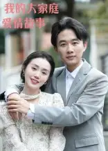 《我的大家庭愛(ài)情故事（15集）》全集免費(fèi)觀看