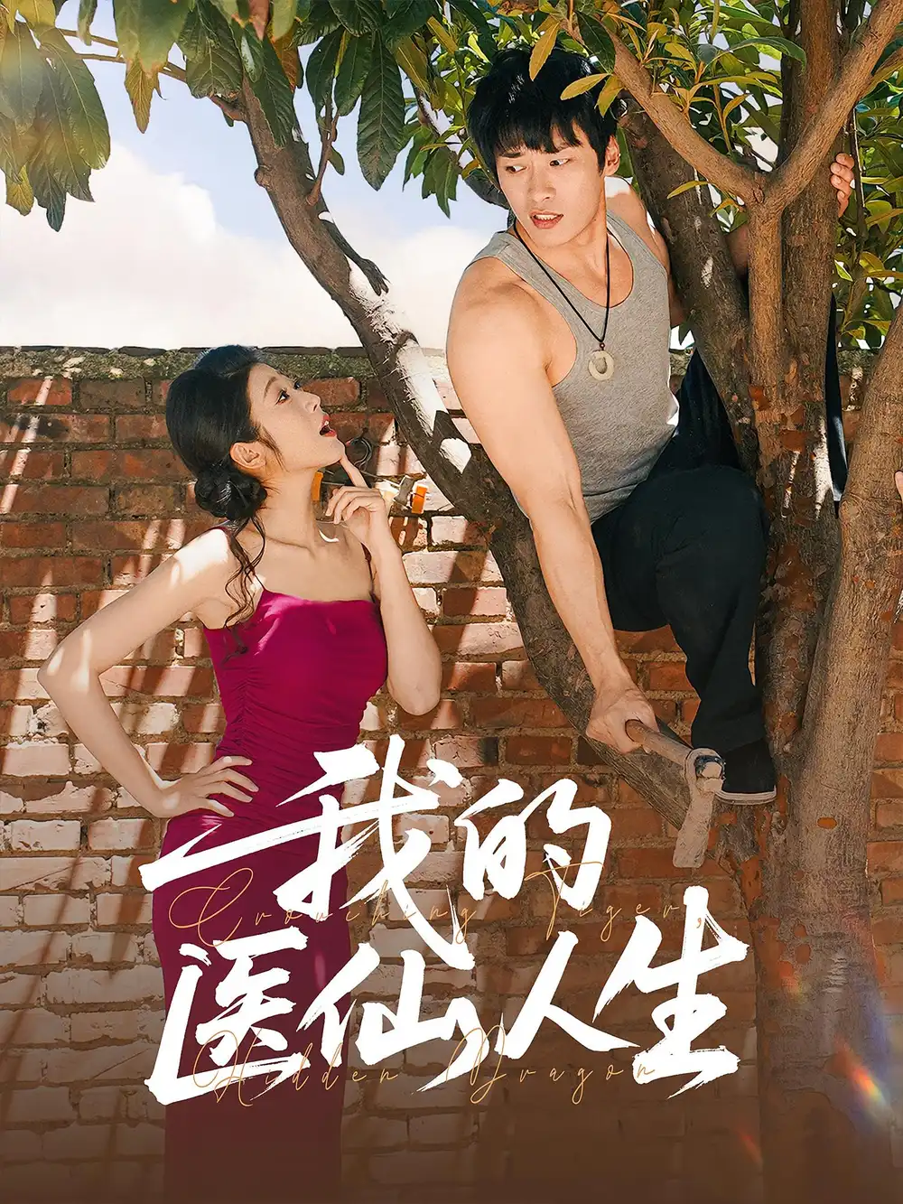 《我的醫(yī)仙人生（88集）》全集免費(fèi)觀看